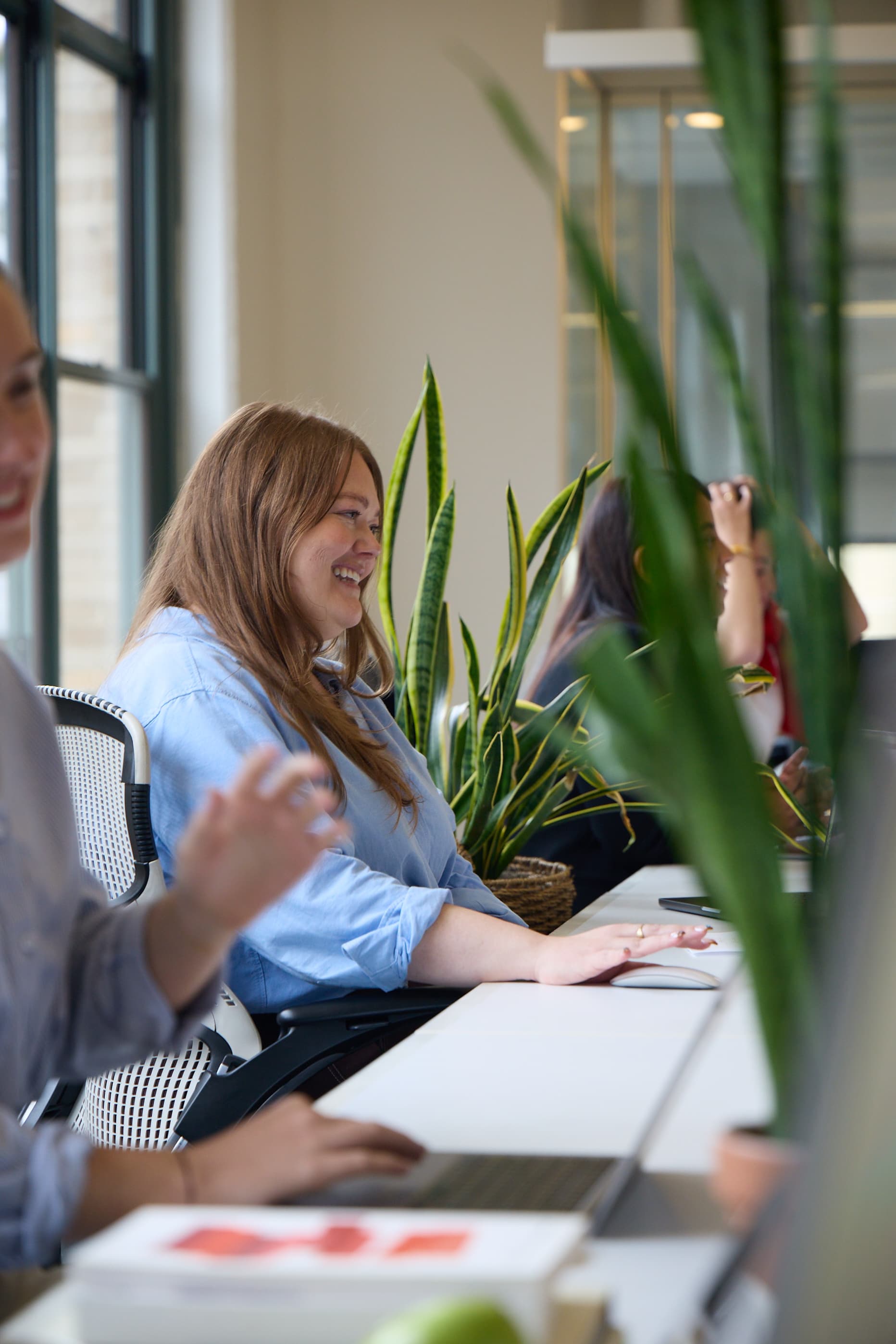 We bring ideas to life